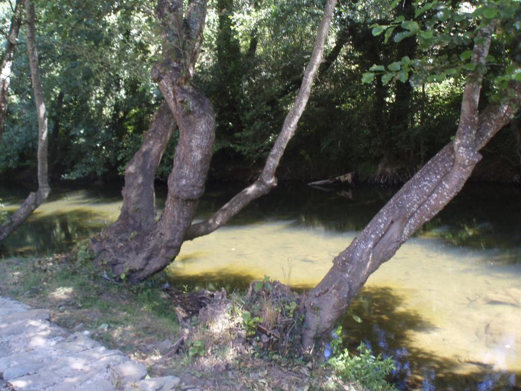 Moinho Da Ponte Velha Pension Bragança Buitenkant foto