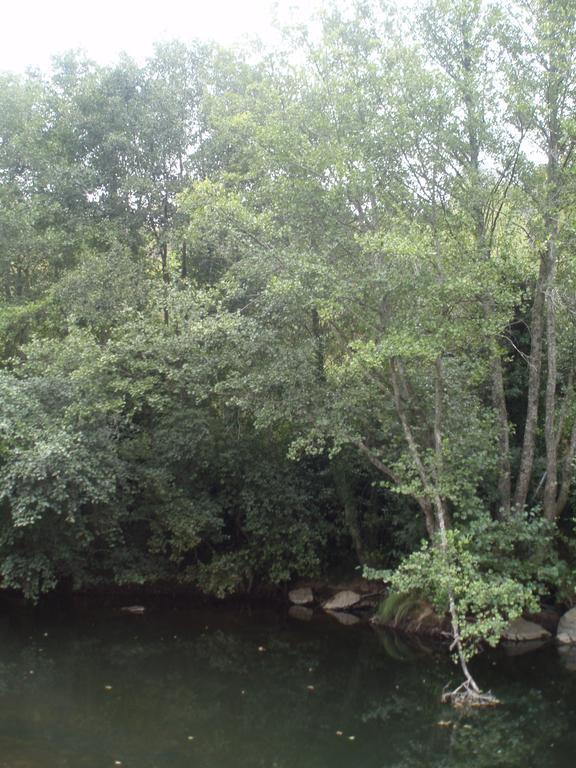 Moinho Da Ponte Velha Pension Bragança Buitenkant foto